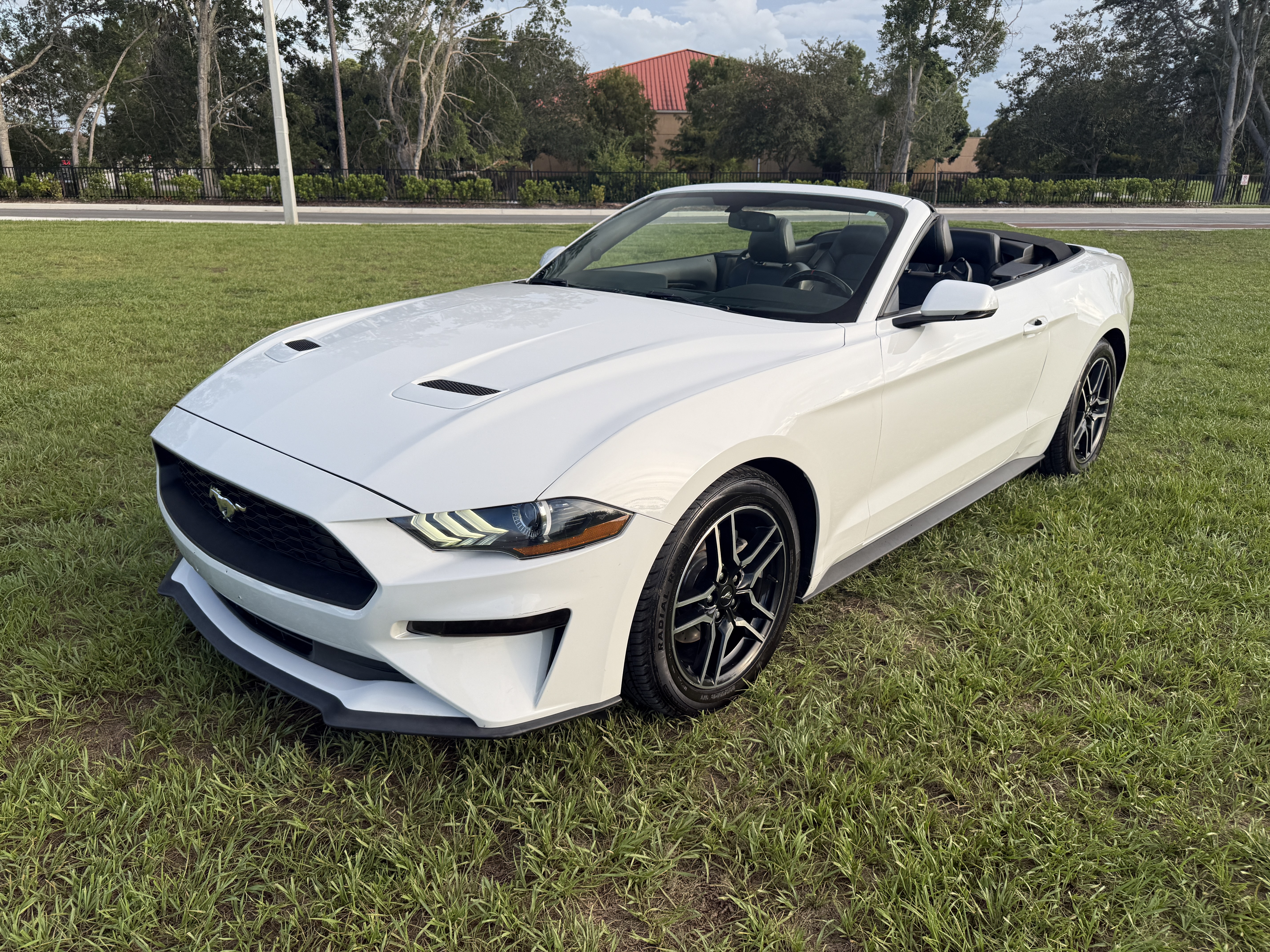 2019 Ford Mustang