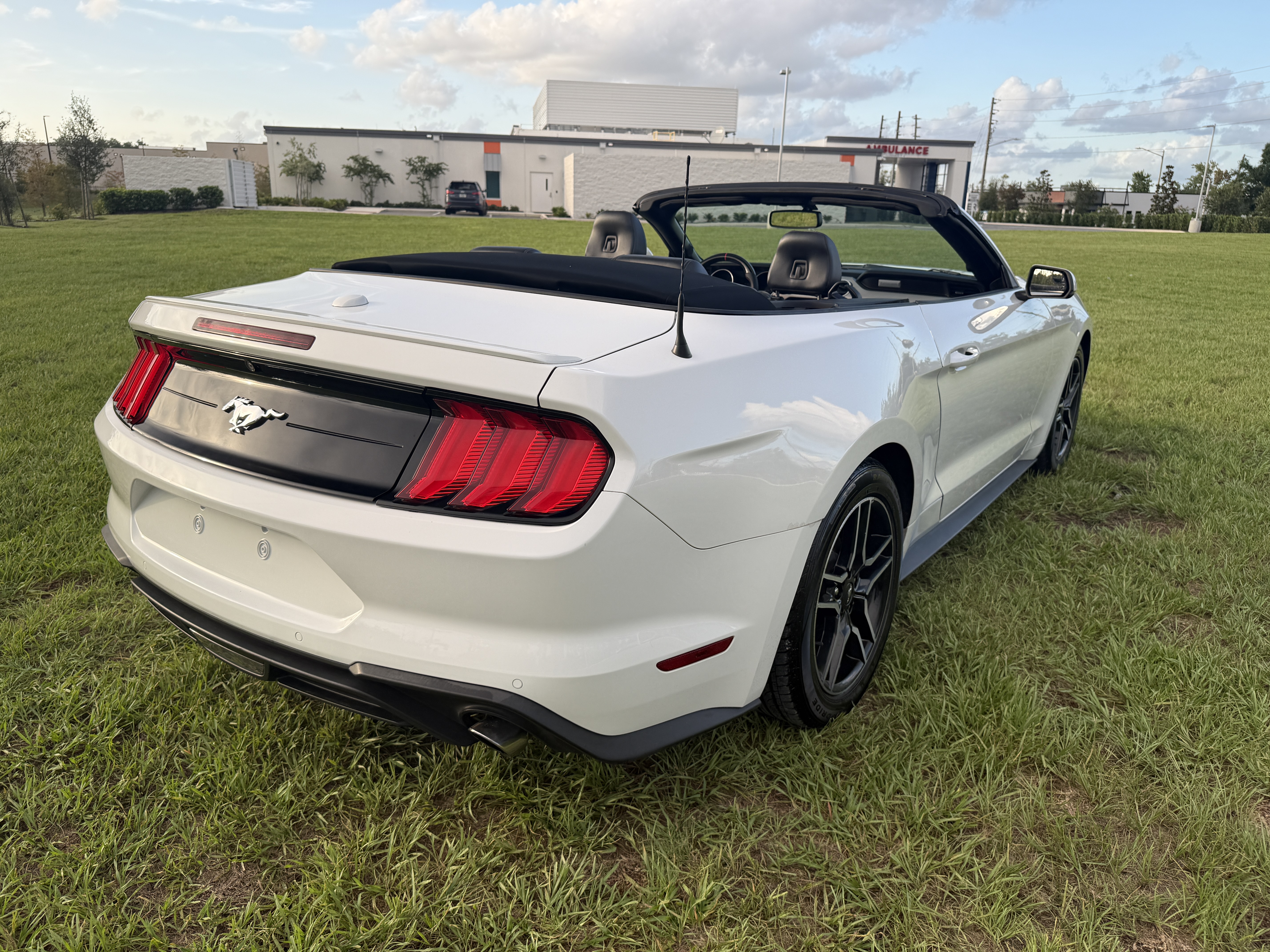 2019 Ford Mustang