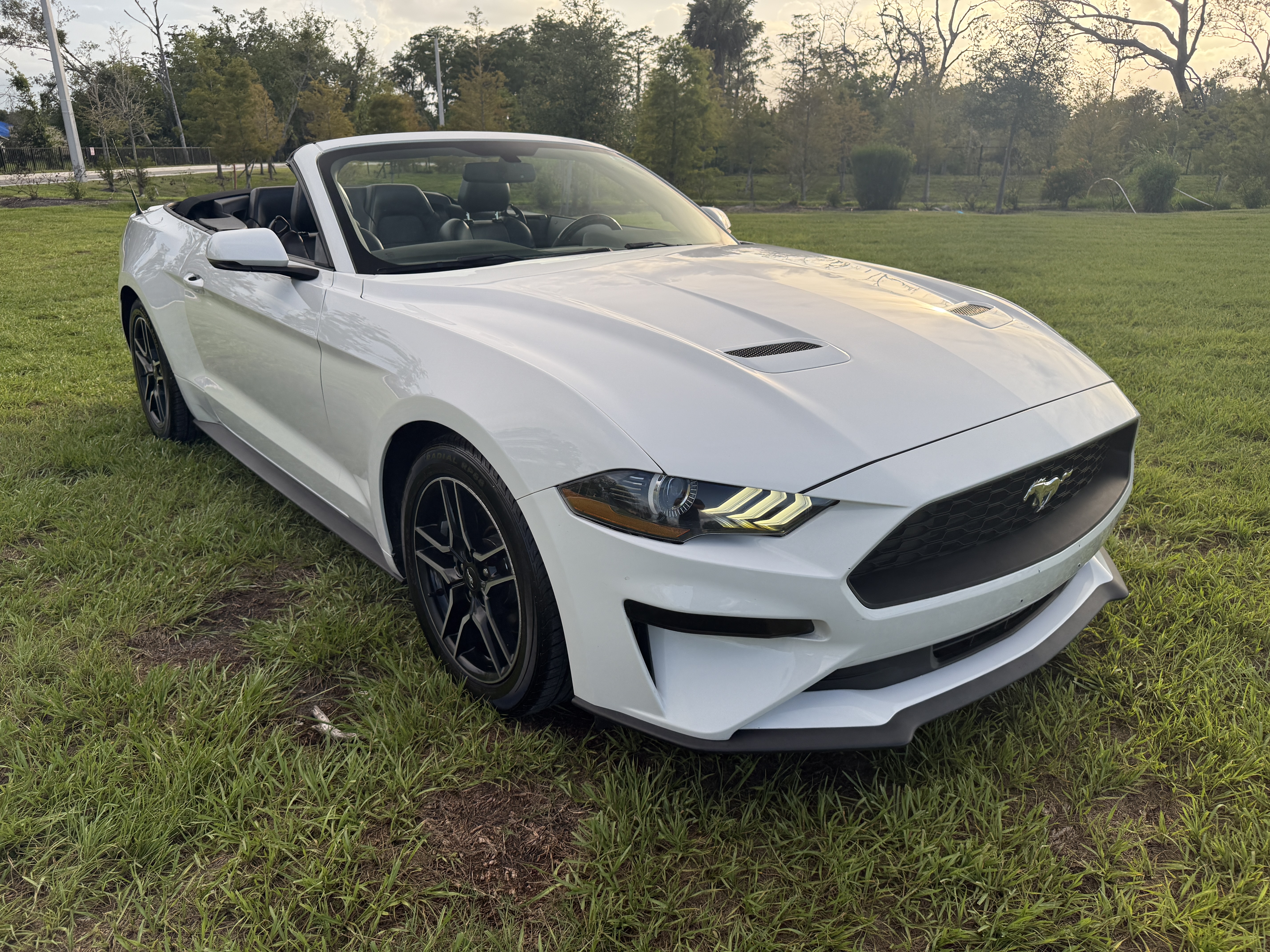 2019 Ford Mustang